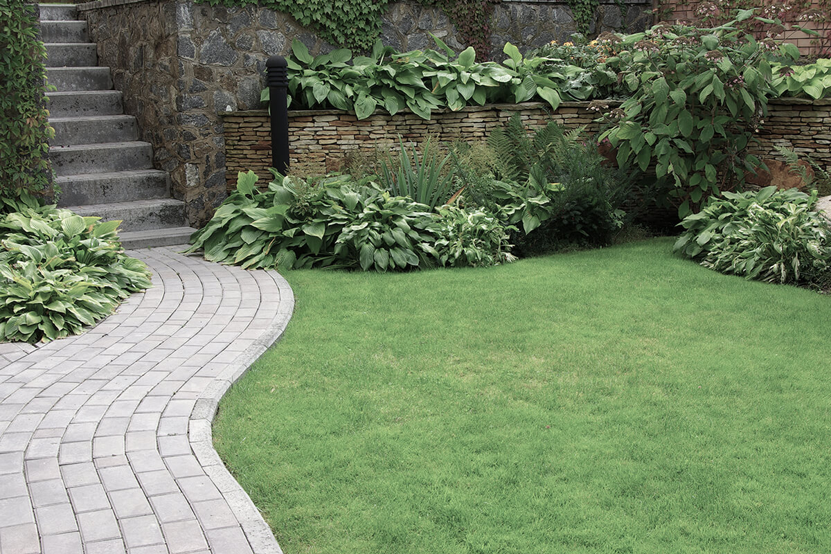 Welcome to Willow Valley Landscaping